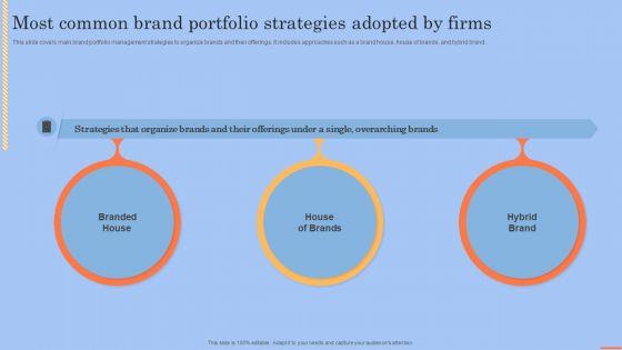 Brand_Portfolio_Technique_And_Model_Most_Common_Brand_Portfolio_Strategies_Clipart_PDF_Slide_1.jpg