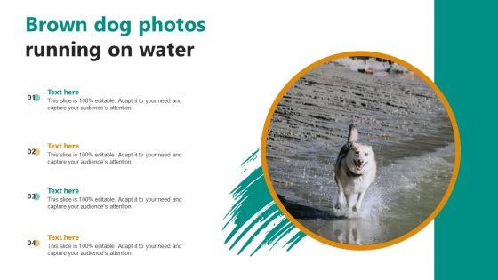 Brown_Dog_Photos_Running_On_Water_Ppt_PowerPoint_Presentation_File_Styles_PDF_Slide_1.jpg