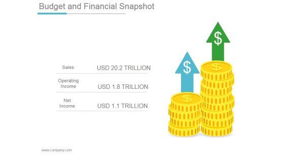 Budget_And_Financial_Snapshot_Ppt_PowerPoint_Presentation_Example_Slide_1.jpg