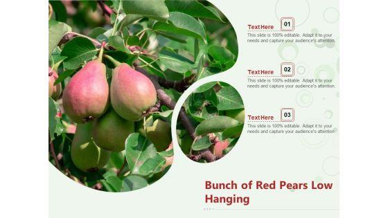 Bunch_Of_Red_Pears_Low_Hanging_Ppt_PowerPoint_Presentation_File_Structure_PDF_Slide_1.jpg