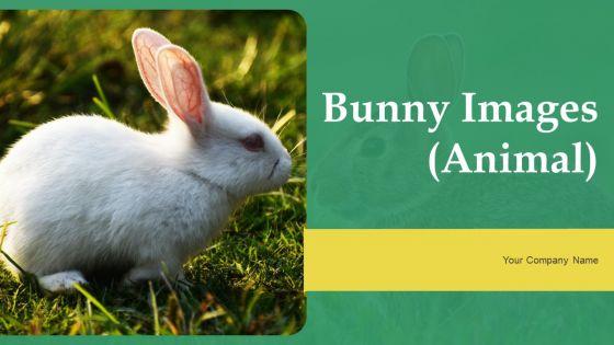 Bunny_Images_Animal_Ppt_PowerPoint_Presentation_Complete_Deck_With_Slides_Slide_1.jpg