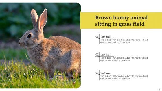 Bunny_Images_Animal_Ppt_PowerPoint_Presentation_Complete_Deck_With_Slides_Slide_2.jpg