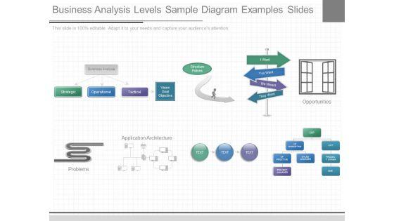 Business_Analysis_Levels_Sample_Diagram_Examples_Slides_1.jpg