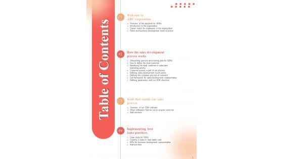 Business_Development_Executive_Playbook_Template_Slide_3.jpg