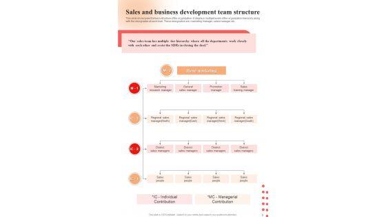 Business_Development_Executive_Playbook_Template_Slide_8.jpg