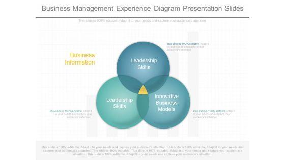 Business_Management_Experience_Diagram_Presentation_Slides_1.jpg