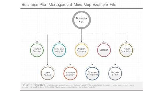 Business_Plan_Management_Mind_Map_Example_File_1.jpg