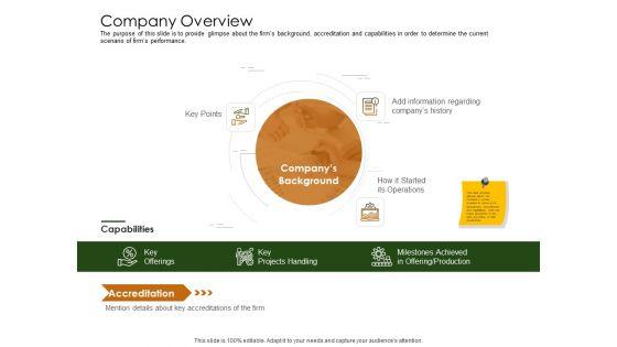 Business_Planning_And_Strategy_Playbook_Company_Overview_Icons_PDF_Slide_1.jpg