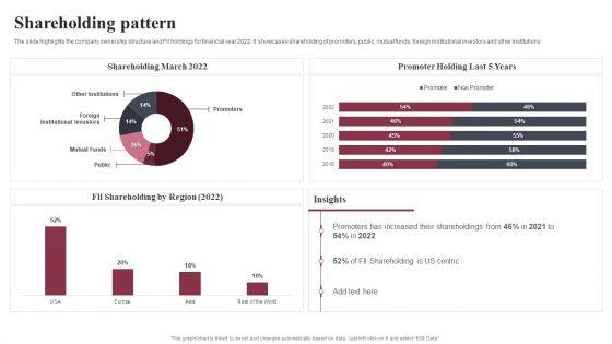 Business_Software_Development_Company_Profile_Shareholding_Pattern_Download_PDF_Slide_1.jpg