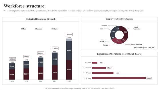 Business_Software_Development_Company_Profile_Workforce_Structure_Information_PDF_Slide_1.jpg