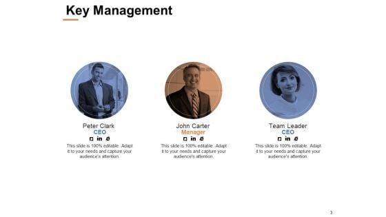 Capability_Assessment_Ppt_PowerPoint_Presentation_Complete_Deck_With_Slides_Slide_3.jpg