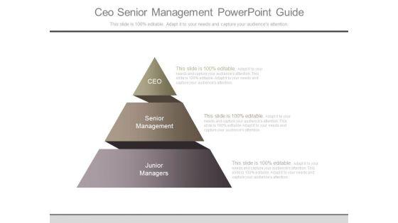 Ceo_Senior_Management_Powerpoint_Guide_1.jpg
