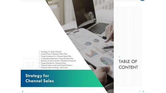 Channel_Sales_Taking_Your_Product_To_Market_Ppt_PowerPoint_Presentation_Complete_Deck_With_Slides_Slide_12.jpg