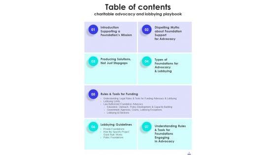 Charitable_Advocacy_And_Lobbying_Playbook_Template_Slide_3.jpg