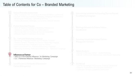 Co_Variety_Advertisement_Ppt_PowerPoint_Presentation_Complete_Deck_With_Slides_Slide_20.jpg