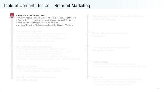 Co_Variety_Advertisement_Ppt_PowerPoint_Presentation_Complete_Deck_With_Slides_Slide_4.jpg