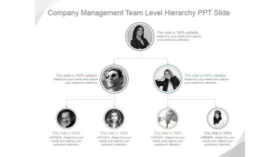 Company_Management_Team_Level_Hierarchy_Ppt_PowerPoint_Presentation_Background_Designs_Slide_1.jpg