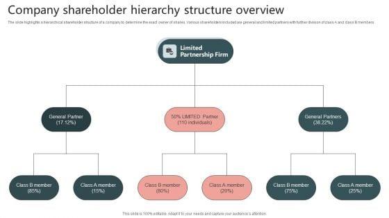 Company_Shareholder_Hierarchy_Structure_Overview_Inspiration_PDF_Slide_1.jpg