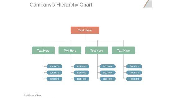 Companys_Hierarchy_Chart_Ppt_PowerPoint_Presentation_Portfolio_Slide_1.jpg