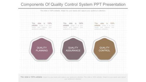 Components_Of_Quality_Control_System_Ppt_Presentation_1.jpg