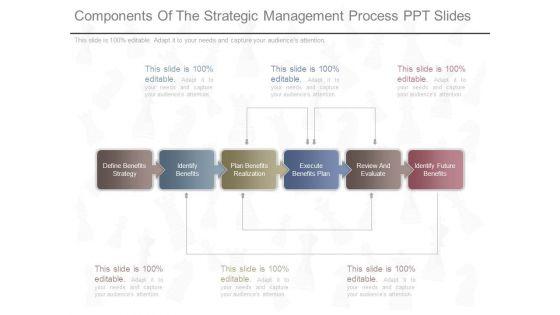 Components_Of_The_Strategic_Management_Process_Ppt_Slides_1.jpg