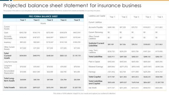Constructing_Insurance_Company_Strategic_Business_Approach_Projected_Balance_Sheet_Statement_Graphics_PDF_Slide_1.jpg