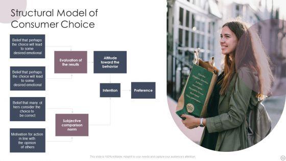 Consumer_Choice_Ppt_PowerPoint_Presentation_Complete_With_Slides_Slide_10.jpg