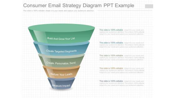 Consumer_Email_Strategy_Diagram_Ppt_Example_1.jpg