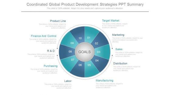 Coordinated_Global_Product_Development_Strategies_Ppt_Summary_1.jpg