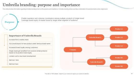 Corporate_Product_And_Overall_Branding_Strategy_Ppt_PowerPoint_Presentation_Complete_Deck_With_Slides_Slide_45.jpg