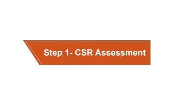 Corporate_Social_Responsibility_Csr_Strategy_Ppt_PowerPoint_Presentation_Complete_Deck_With_Slides_Slide_10.jpg