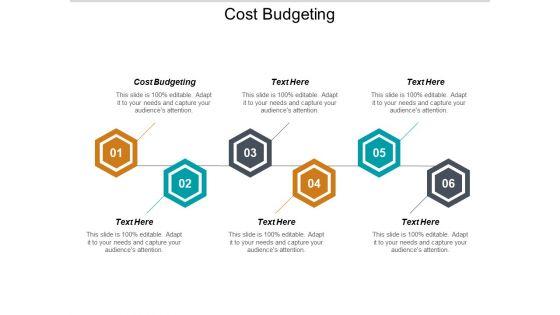 Cost_Budgeting_Ppt_PowerPoint_Presentation_Summary_Design_Templates_Cpb_Slide_1.jpg