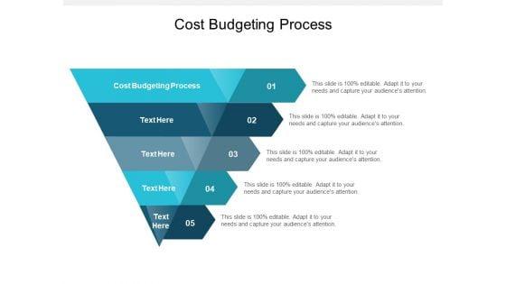 Cost_Budgeting_Process_Ppt_PowerPoint_Presentation_Outline_Introduction_Cpb_Slide_1.jpg