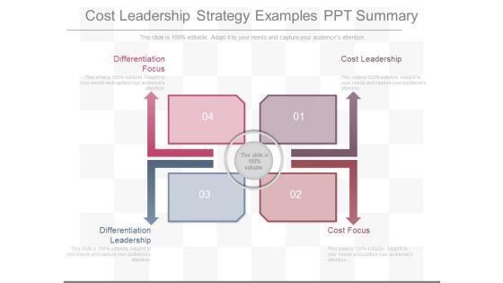 Cost_Leadership_Strategy_Examples_Ppt_Summary_1.jpg