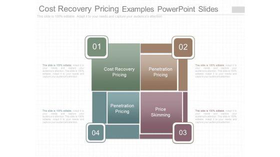 Cost_Recovery_Pricing_Examples_Powerpoint_Slides_1.jpg