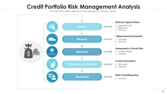 Credit_Portfolio_Analysis_Measurement_Instruments_Ppt_PowerPoint_Presentation_Complete_Deck_With_Slides_Slide_9.jpg