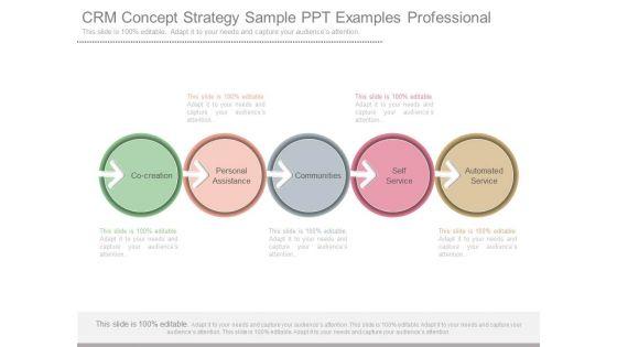 Crm_Concept_Strategy_Sample_Ppt_Examples_Professional_1.jpg