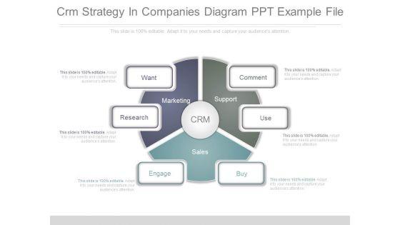 Crm_Strategy_In_Companies_Diagram_Ppt_Example_File_1.jpg