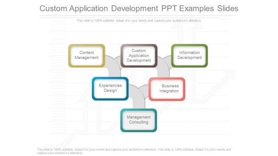 Custom_Application_Development_Ppt_Examples_Slides_1.jpg