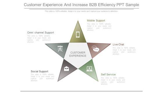 Customer_Experience_And_Increase_B2b_Efficiency_Ppt_Sample_1.jpg