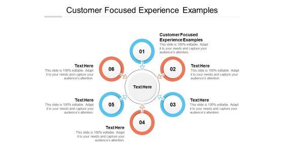 Customer_Focused_Experience_Examples_Ppt_PowerPoint_Presentation_Layouts_Sample_Cpb_Slide_1.jpg