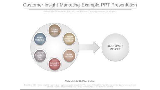Customer_Insight_Marketing_Example_Ppt_Presentation_1.jpg
