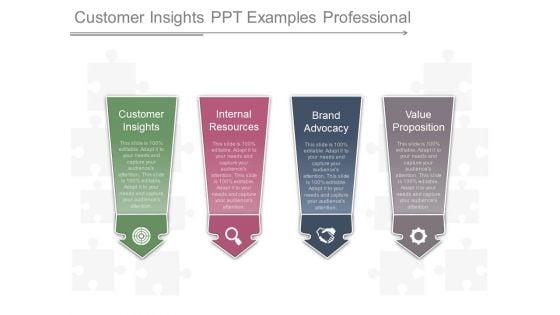 Customer_Insights_Ppt_Examples_Professional_1.jpg