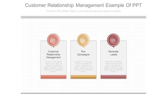 Customer_Relationship_Management_Example_Of_Ppt_1.jpg