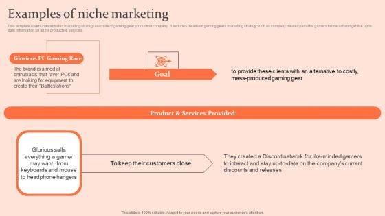 Customised_Advertising_Strategies_Examples_Of_Niche_Marketing_Pictures_PDF_Slide_1.jpg