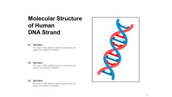 DNA_Ppt_Template_Molecular_Structure_Puzzle_Pieces_Ppt_PowerPoint_Presentation_Complete_Deck_Slide_2.jpg