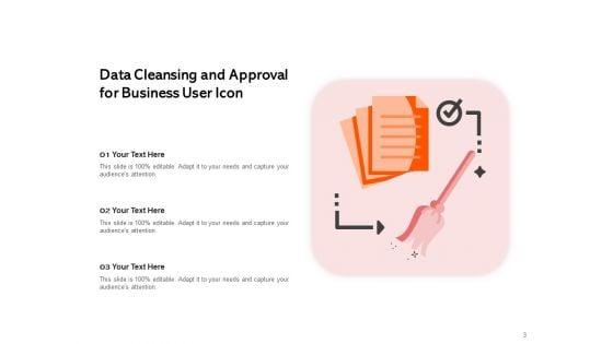 Data_Cleansing_Process_Business_Data_Inventory_Ppt_PowerPoint_Presentation_Complete_Deck_Slide_3.jpg