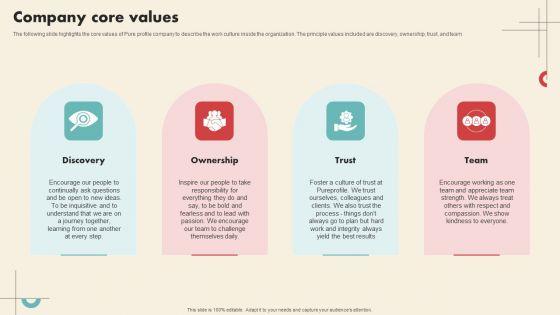 Data_Driven_Marketing_Solutions_Firm_Company_Profile_Company_Core_Values_Icons_PDF_Slide_1.jpg