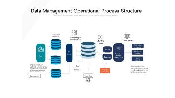 Data_Management_Operational_Process_Structure_Ppt_PowerPoint_Presentation_File_Graphics_Pictures_PDF_Slide_1.jpg