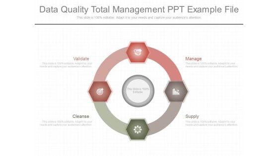 Data_Quality_Total_Management_Ppt_Example_File_1.jpg